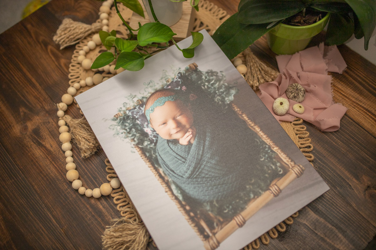 canvas of newborn girl in basket with teal and pink pillow newborn photographer minneapolis