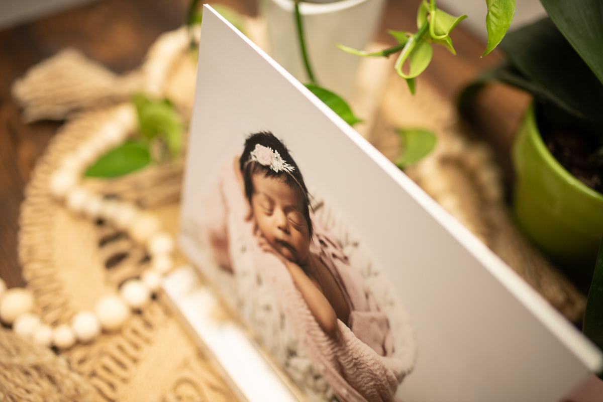 board back print of newborn girl in boho basket with pink tie back newborn photographer minneapolis