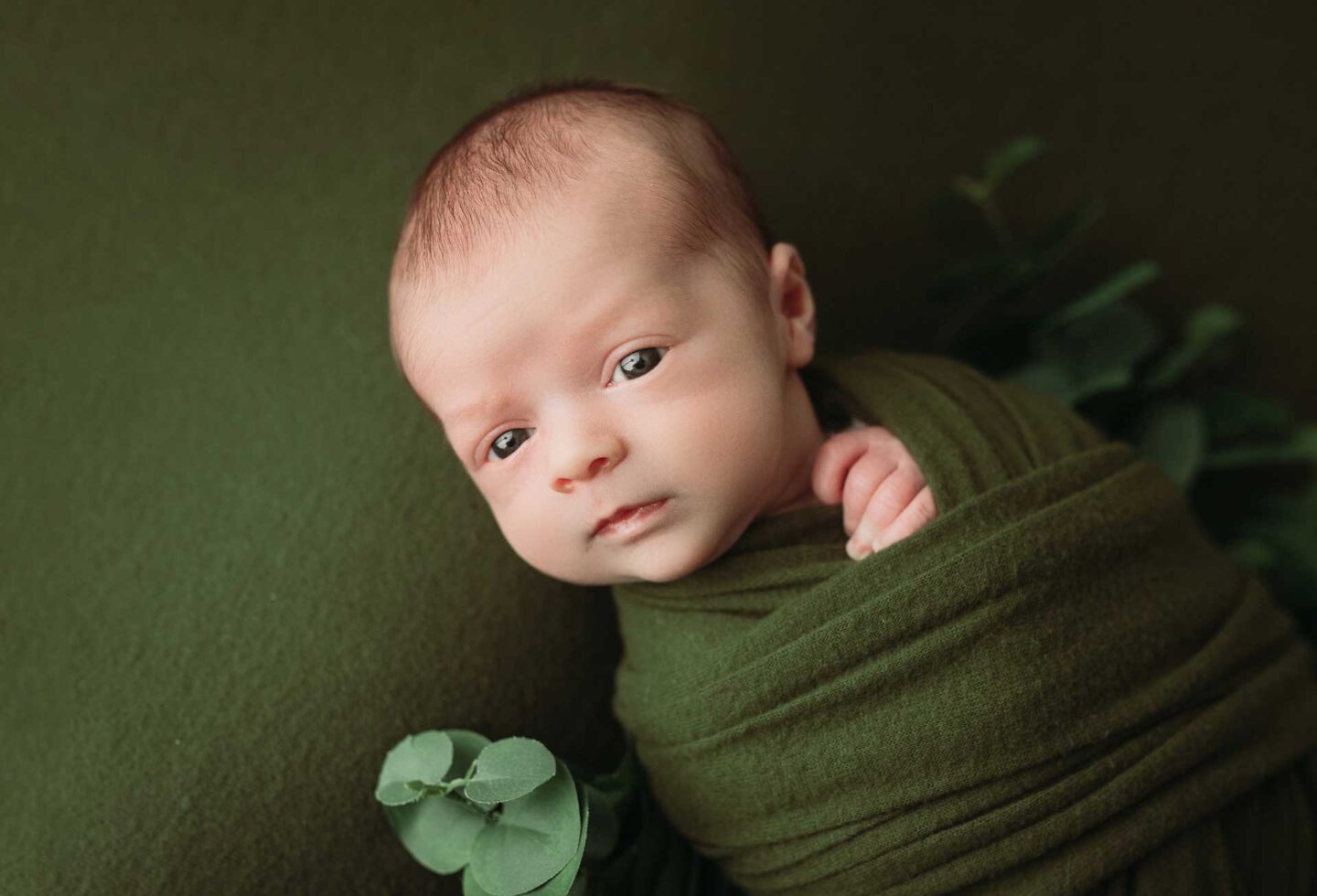 awake baby boy on olive green with eucalyptus minneapolis newborn photographer